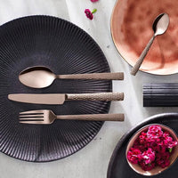 24-pc set in trend box - Rose Champagne Amefa