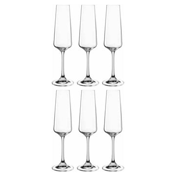 Leonardo - PALADINO Champagne Glazen 220 ml - 6 stuks