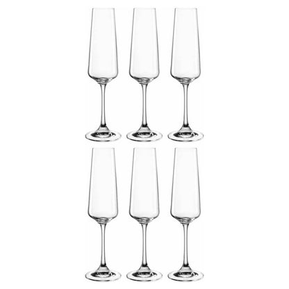 Leonardo - PALADINO Champagne Glazen 220 ml - 6 stuks